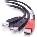 CABLES TO GO 28108 6ft USB 2.0 One B Male to Two A Male Y-Cable