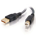 CABLES TO GO 29141 2m Ultima&trade; USB 2.0 A/B Cable (6.5ft)